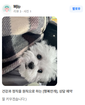 행복만개 인천본점(전, 퍼피캣 인천신현점) 게시판 이미지 3