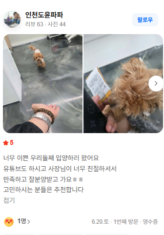 행복만개 인천본점(전, 퍼피캣 인천신현점) 게시판 이미지 4