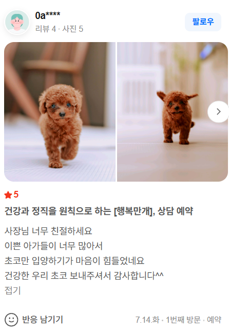 행복만개 인천본점(전, 퍼피캣 인천신현점) 게시판 이미지 3