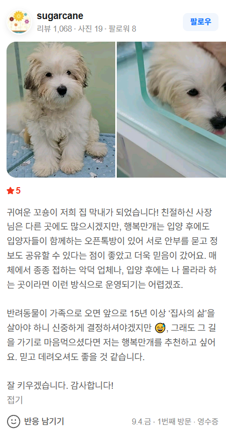 행복만개 인천본점(전, 퍼피캣 인천신현점) 게시판 이미지 2