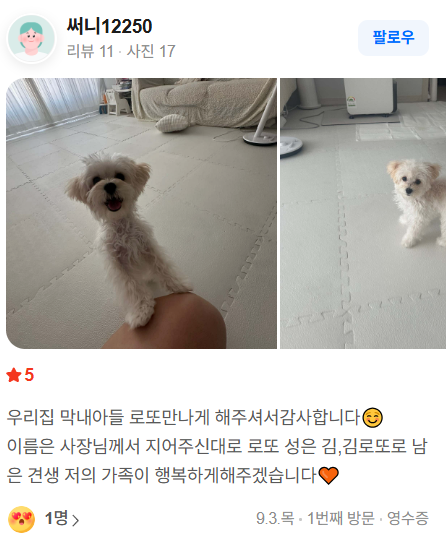 행복만개 인천본점(전, 퍼피캣 인천신현점) 게시판 이미지 1